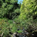 La Cascade à Nosy Be