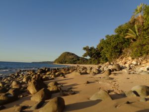Sakatia